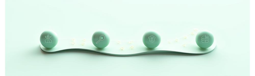 Desktop visualization of Vela Health Co. 4-step wellness methodology: Assess, Personalize, Implement, Refine.